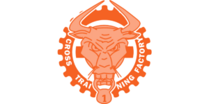 Crossfit Training (1)